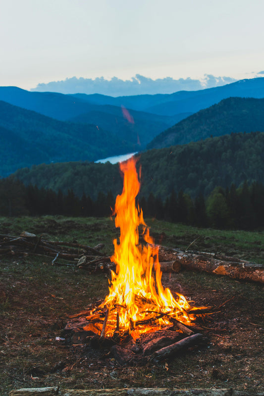 5 Trucos de Supervivencia para Acampar en el Bosque